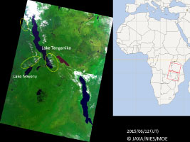 Open burning in Congo, Tanzania