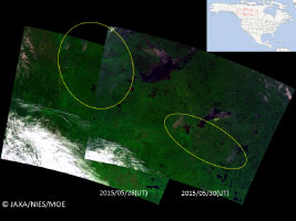 Wildfire in northern Canada